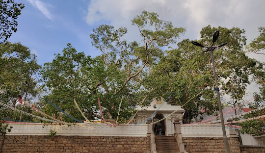 Anuradhapura Ancient City